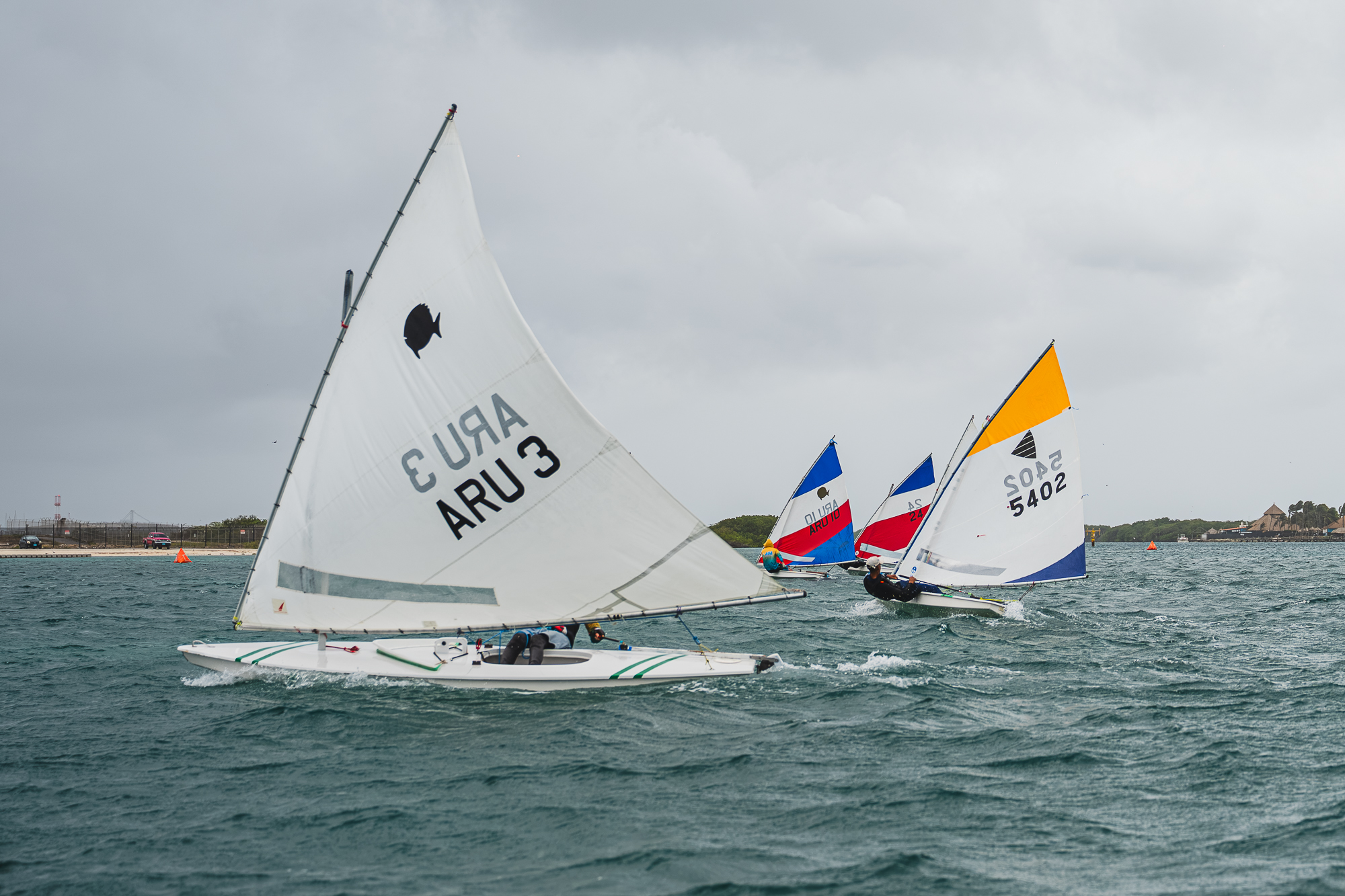 Regatta photo
